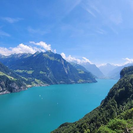 Solohike Mountainview Leilighet Seelisberg Eksteriør bilde