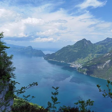 Solohike Mountainview Leilighet Seelisberg Eksteriør bilde