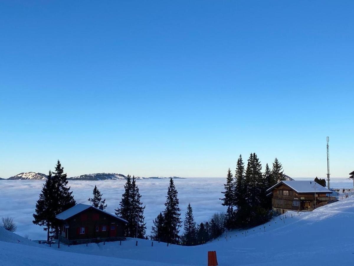 Solohike Mountainview Leilighet Seelisberg Eksteriør bilde