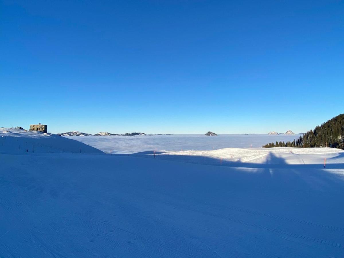 Solohike Mountainview Leilighet Seelisberg Eksteriør bilde